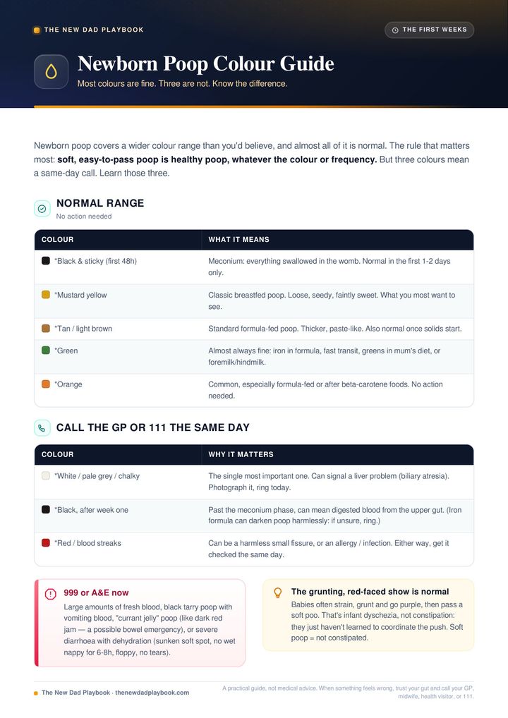 Newborn poop colour guide